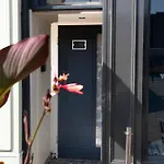 Harrogates - Sleeps 12 *